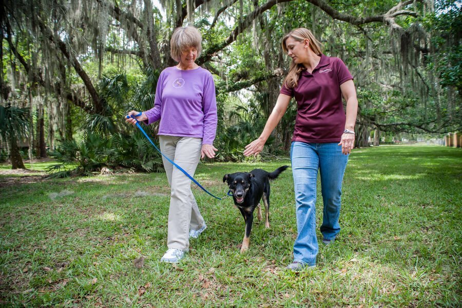 The Last Paw Dog Training Photo Gallery